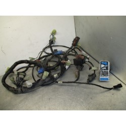 Cableado Yamaha XVS Drag Star 650 2006