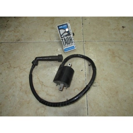 Bobina trasera Yamaha XVS Drag Star 650 2006