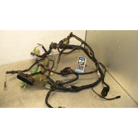 Cableado Honda VT 125 Shadow