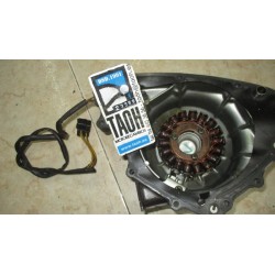 Estator Suzuki GS 500 F 2004