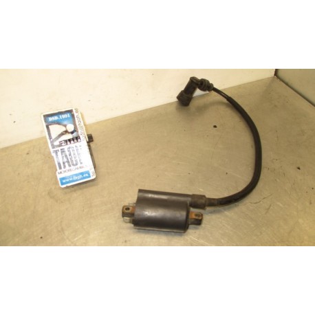 Bobina Suzuki Marauder 125