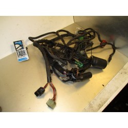 Cableado Suzuki SV 650 2000