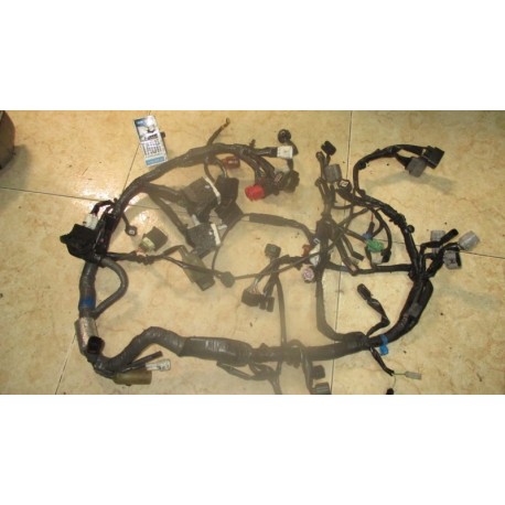 Cableado V-Strom 1050 2021