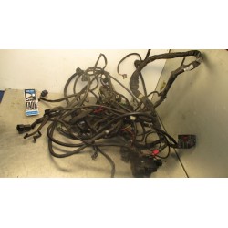 Cableado Suzuki Burgman 400 2007-2009
