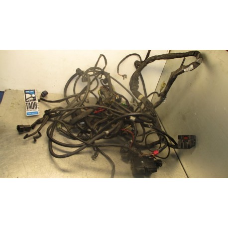 Cableado Suzuki Burgman 400 2007-2009
