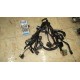 Cableado intermedio Honda CBF 600 2012