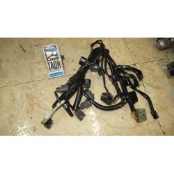 Cableado intermedio CBF 600 12