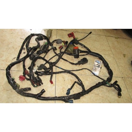 Cableado CBF 600 12