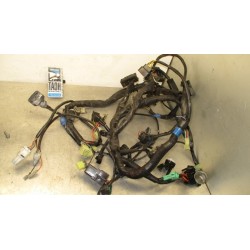 Cableado Suzuki Burgman 125 2015