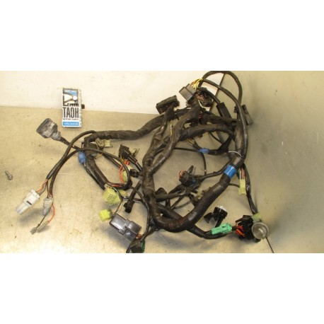 Cableado Suzuki Burgman 125 2015