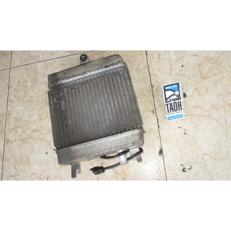 Radiador Suzuki Burgman 125 2015