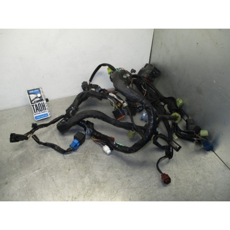 Cableado Suzuki Marauder 800 2007