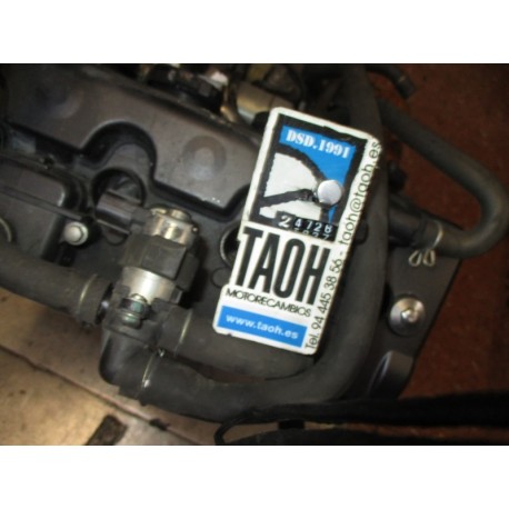 Limpiador de gases Honda CB 1000 R 2009