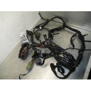 Cableado Honda CB 1000 R 09