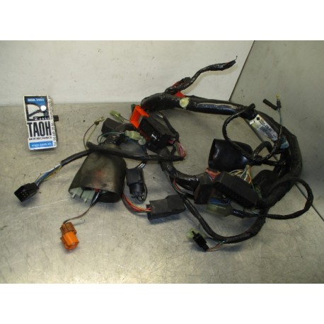 Cableado Honda Jazz 250 2001-2008