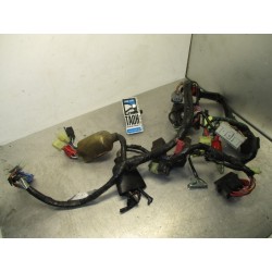 Cableado Honda CBR 900 RR 2003