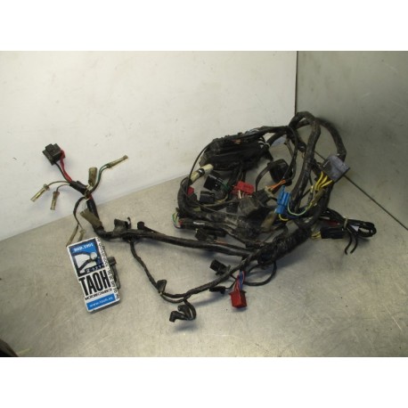 Cableado Kawasaki VN 800 Vulcan Classic 1999