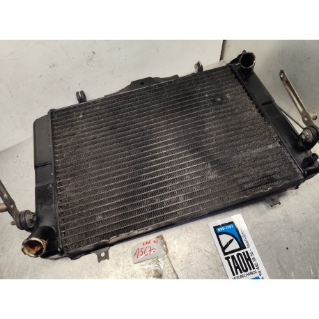 Radiador Exup 1000 91