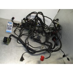 Cableado BMW C 600 Sport 2011-2015