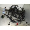 Cableado BMW C 600 Sport 2011-2015