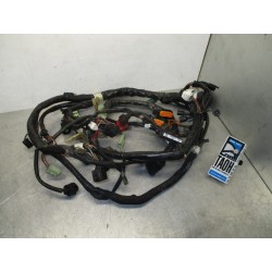Cableado Suzuki GW 250 Inazuma 2015