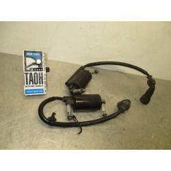 Bobina de alta Suzuki GW 250 Inazuma 2015