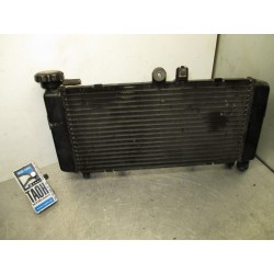 Radiador de agua Honda CBF 600 2006