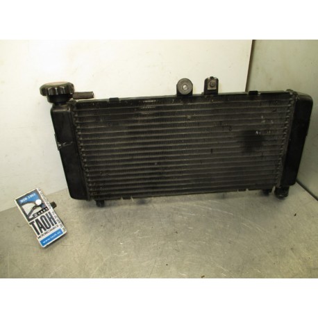 Radiador de agua Honda CBF 600 2006