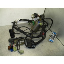 Cableado Honda CBF 600 2006