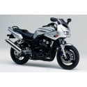 FZS 600 Fazer 1998-2001